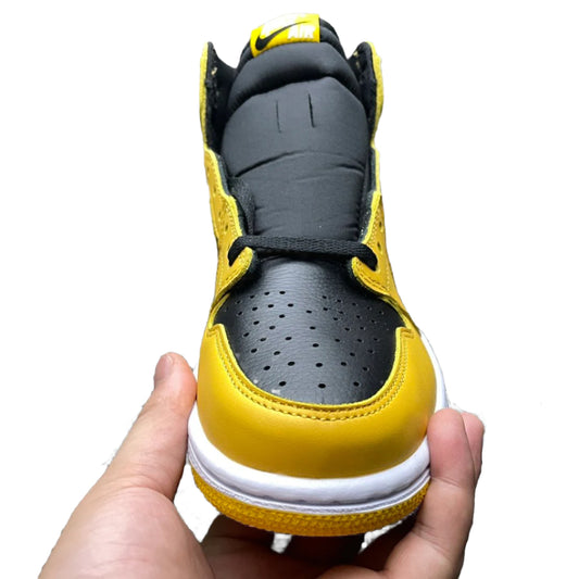 Air Jordan 1 Retro High OG GS 'Pollen'