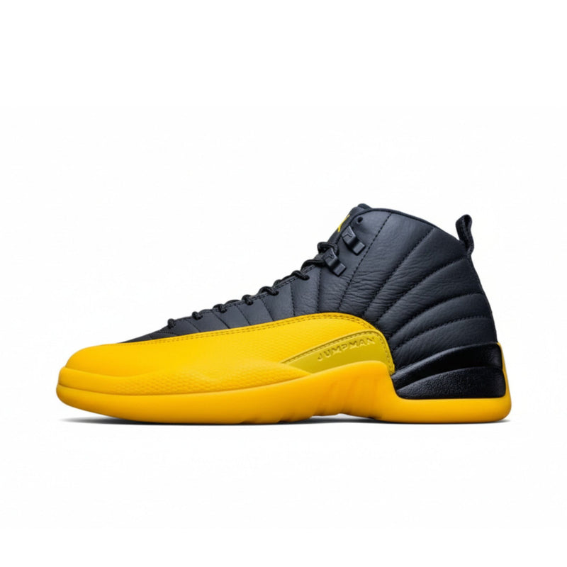 Air Jordan 12