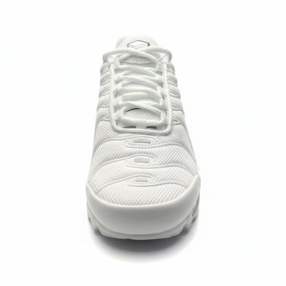 Nike Air Max Plus “White / Cool Grey”