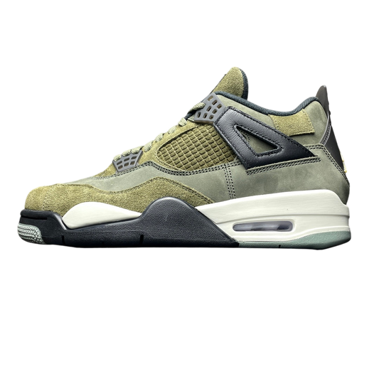 Air Jordan 4 Retro Dust