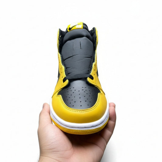 Air Jordan 1 Retro High OG GS 'Pollen'